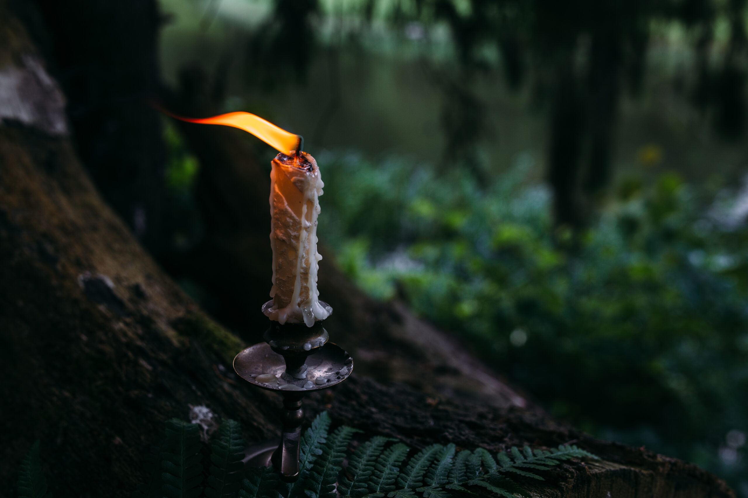 Burning candle in the enchanted forest. Occult, esoteric witchcraft concept.